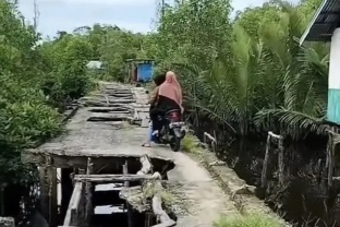 Setelah viral, Dinas PUTR Kabupaten Indragiri Hilir baru akan memperbaiki jembatan sakaratul maut di Desa Igal (foto/int)